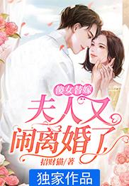 傻女替嫁：夫人又闹离婚了